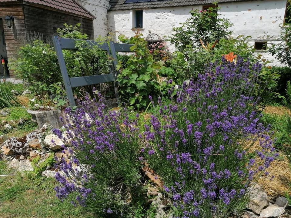 Hotellerie Jardiniers Gourmands Morsains Exteriör bild