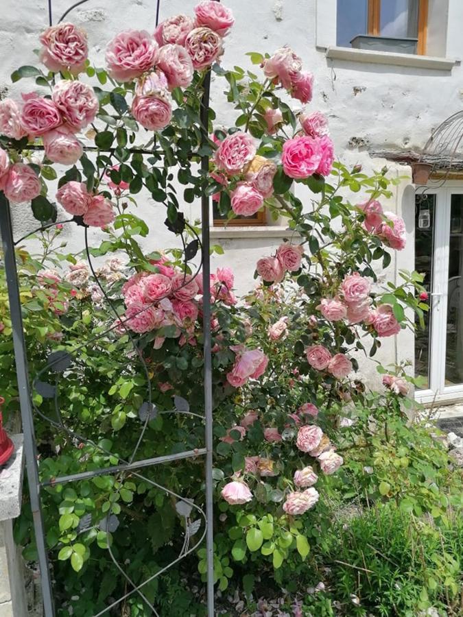 Hotellerie Jardiniers Gourmands Morsains Exteriör bild